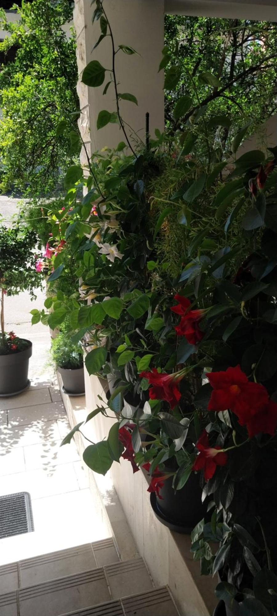 Apartmani Liberan Neum Bagian luar foto