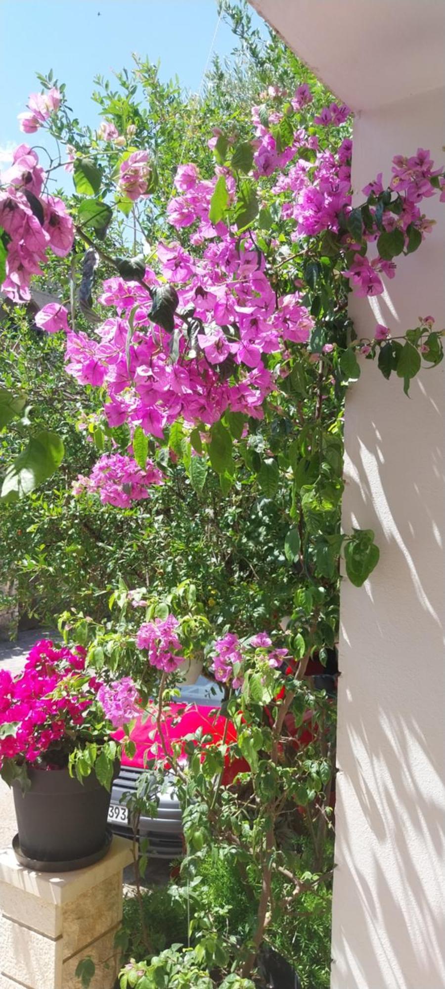 Apartmani Liberan Neum Bagian luar foto