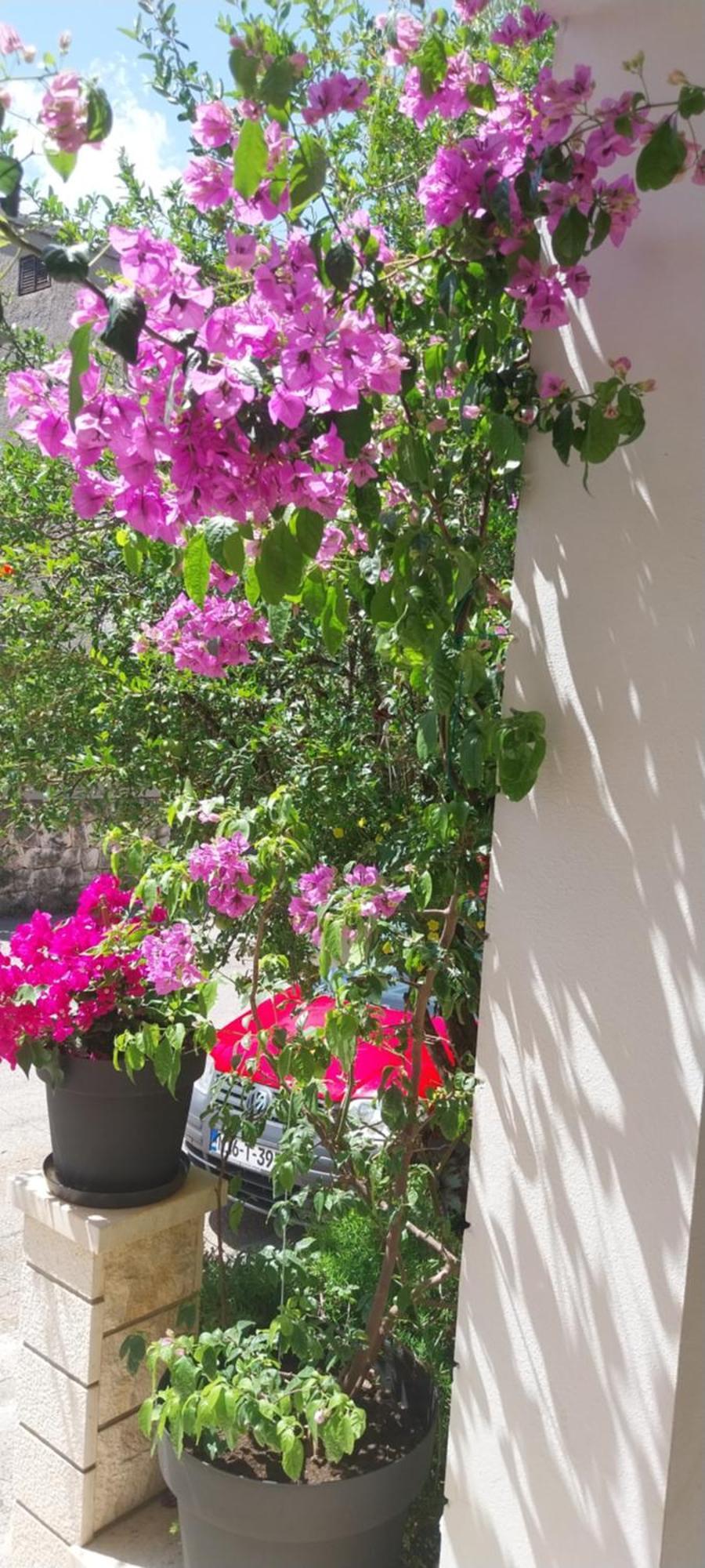 Apartmani Liberan Neum Bagian luar foto