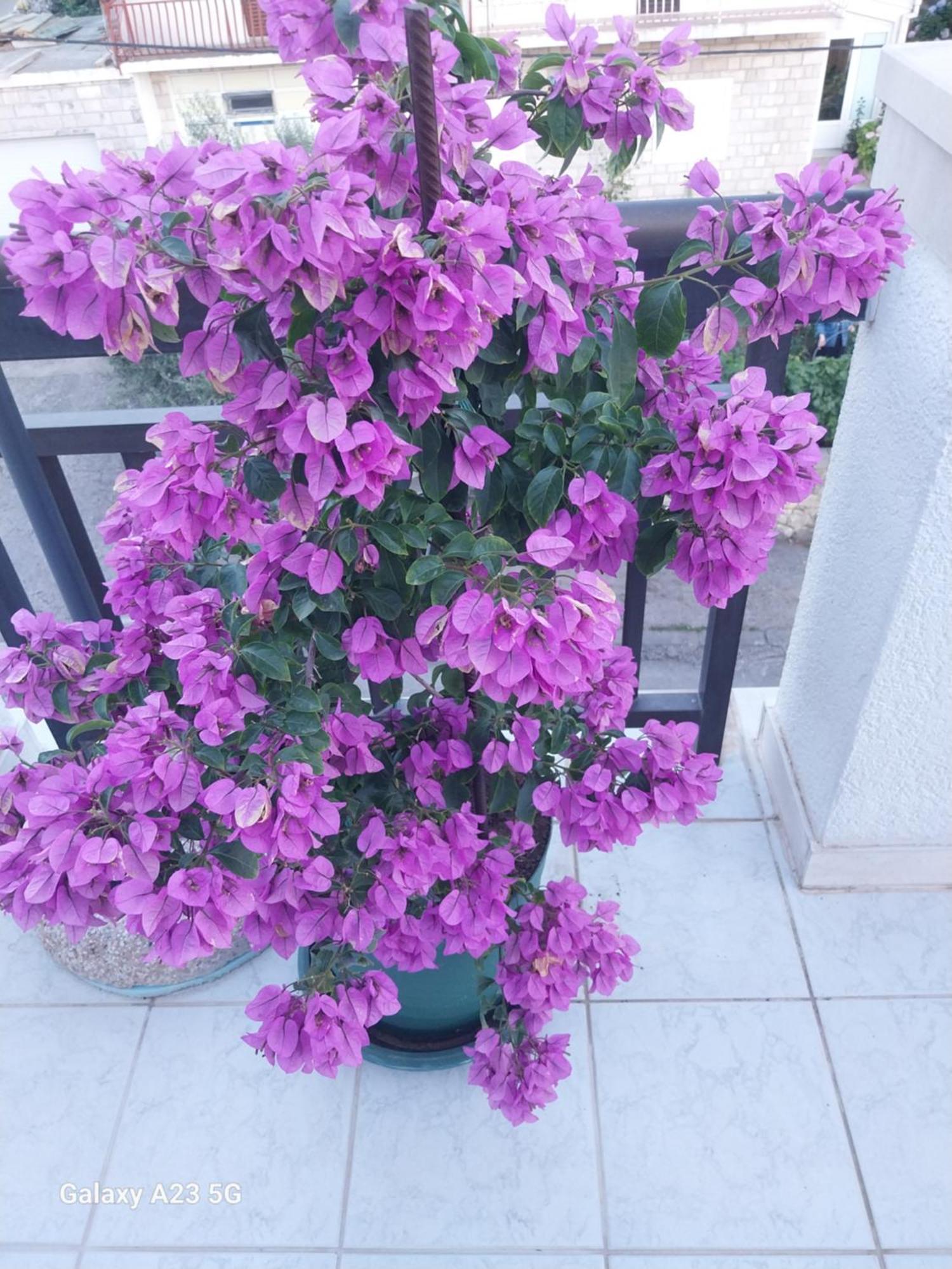 Apartmani Liberan Neum Bagian luar foto